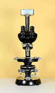 ZEISS Dunkelfeld-Mikroskop