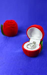 SOUL ABUNDANCE - Schmuck der die Seele verwöhnt mit 
Rosenverpackung